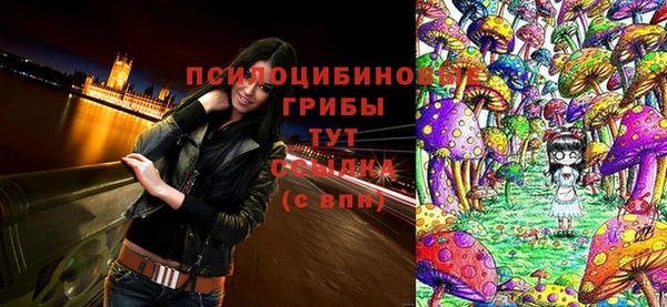дурь Армянск