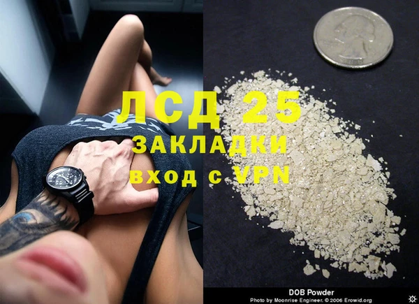 сатива Аркадак
