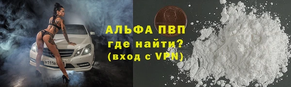 сатива Аркадак