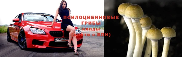 амф Арсеньев