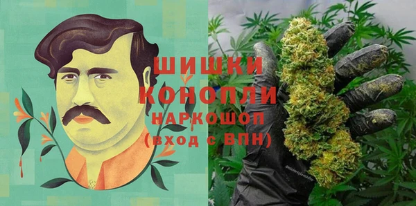 амф Арсеньев