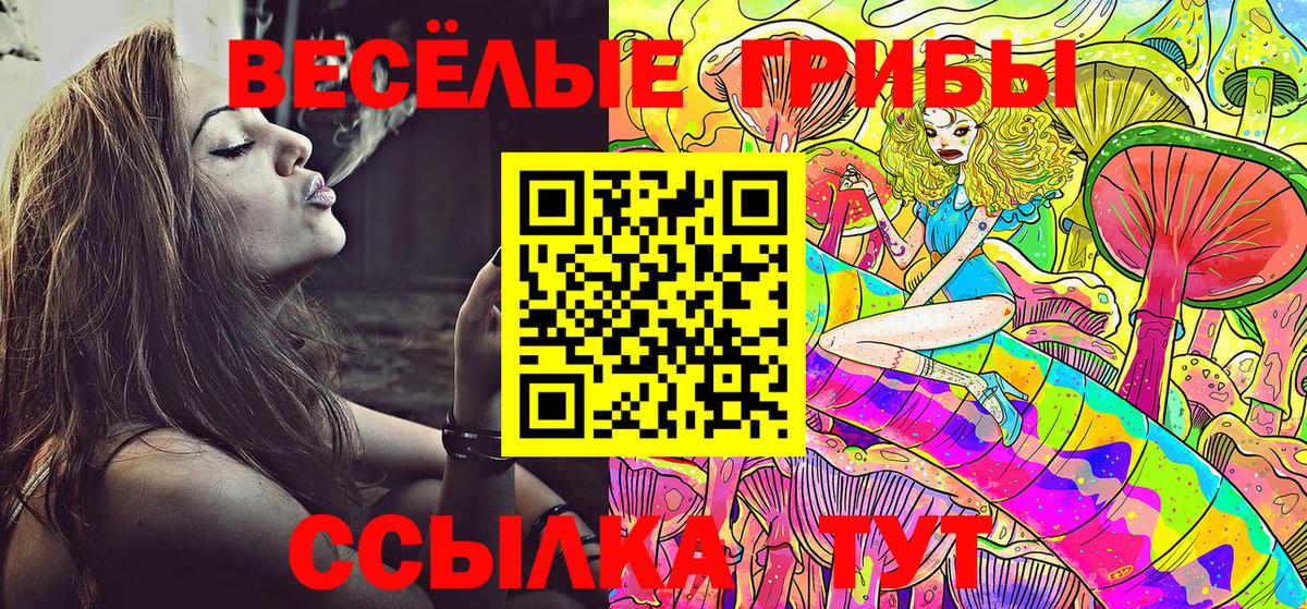 Псилоцибиновые грибы Psilocybe  Вход с VPN  Гуково 